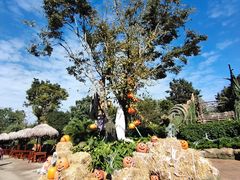 -七彩云南欢乐世界