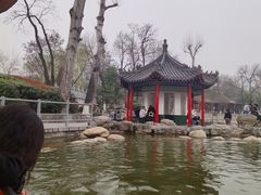 -莲湖公园