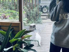 -韩国한국厨房