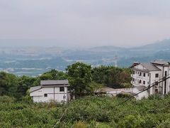 -南山植物园