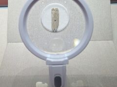 -迪庆藏族自治州博物馆