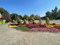 -大兴滨河森林公园