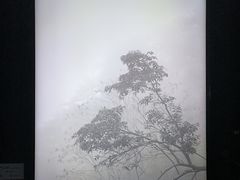 -中国美术学院-美术馆