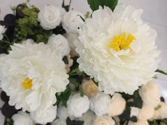 -万达广场(菏泽牡丹店)