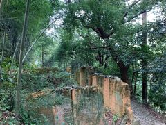 -杨家堂村