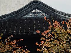 -秋霞圃