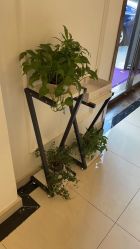 -香秀空间科技抗衰·美容中心