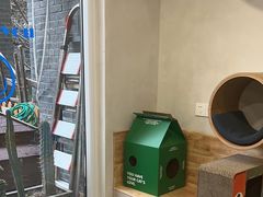 -伟伟宠物医院·CT影像中心·瑞派犬猫综合性门诊(汉口总院)