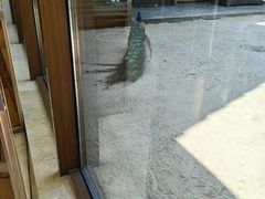-宁波九龙湖开元度假村