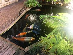 -Fern Forest Cafe