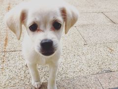 -星巴克(成都科学城店)