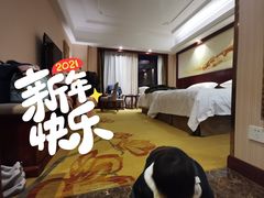 -维也纳国际酒店（上海旅游度假区浦东机场店）-停车点