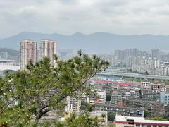 -金鸡山公园