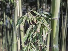 -西安国际创新人才交流中心•药浴温泉