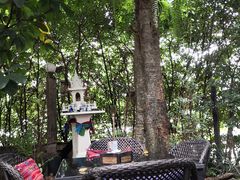 -Fern Forest Cafe