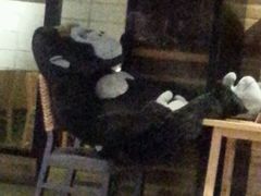 -Who乎coffee&bar