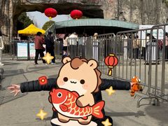-合肥野生动物园