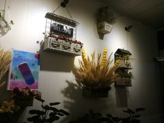 -夏叶茶(大光明店)