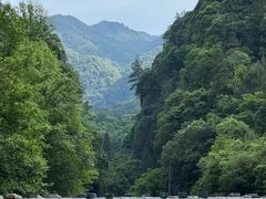 -石台牯牛降景区