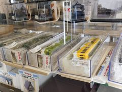 -【鉄道模型】ホビーランドぽち日本橋1号店