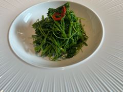 -觀芷隐轩