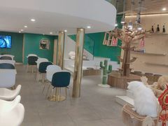 大堂-飞行喵MR PILOT|猫舍·猫咖(静安大融城店)