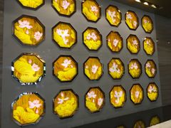 -郑州正方元国际酒店