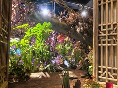 -叶叶菩提·晋福宫