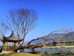 -光明港公园