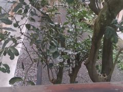 -乐领拈花溪·林涧食韵