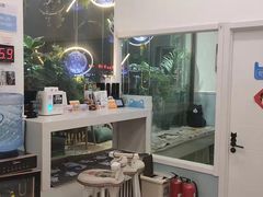 -纳吉亚猫专科动物医院·北北分院