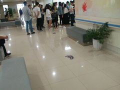 -苏州市立医院(白塔院区)