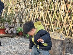 -小芝红树林