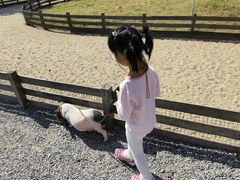 -前小桔亲子创意农场·草莓采摘·露营烧烤