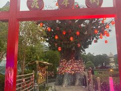 -贵安欢乐世界