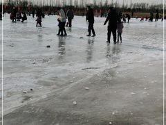 -绿野森林乐园冰雪季