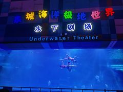 -泉城欧乐堡海洋极地世界