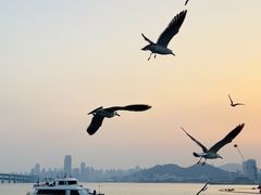 -星海广场