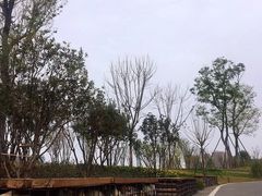 -府河摄影公园