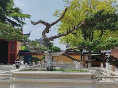 -上海东林寺(金山区)