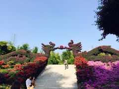 -东南花都花博园