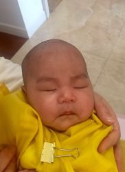 -龙文宝贝上门婴儿理发满月剃胎毛(闵行店)