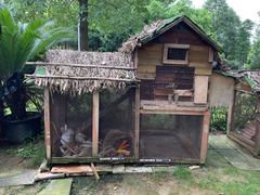 -成都保利公园皇冠假日酒店(熊猫基地店)