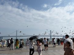 -星海广场