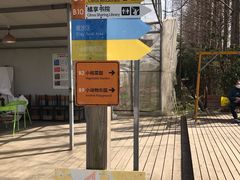 -前小桔亲子创意农场·草莓采摘·露营烧烤