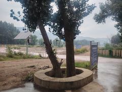 -乌素图国家森林公园