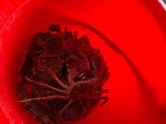 -粮心小农·大头虾亲子生态园(长发店)