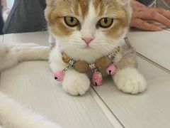 -万达广场(槐房店)