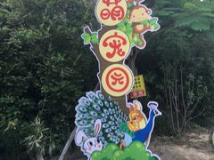 -清境桃源