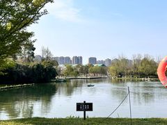 -洋湖国家湿地公园